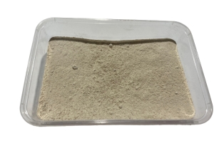 Diatomaceous Earth